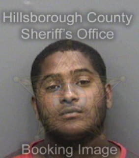 Romero Jose - Hillsborough County, Florida 