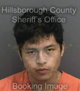 Lopez Manuel - Hillsborough County, Florida 