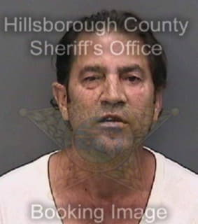 Latorre Oswaldo - Hillsborough County, Florida 