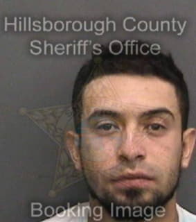 Perez Victor - Hillsborough County, Florida 