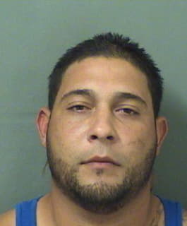 Perezhernandez Wilmer - PalmBeach County, Florida 