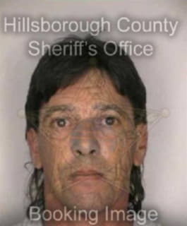 Hernandez Richard - Hillsborough County, Florida 
