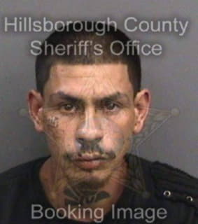 Nieves Anthony - Hillsborough County, Florida 