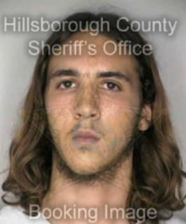 Orsini Christopher - Hillsborough County, Florida 