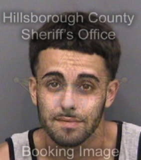 Perez Daniel - Hillsborough County, Florida 