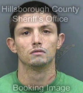 Swander Casey - Hillsborough County, Florida 