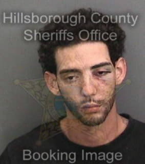 Medina David - Hillsborough County, Florida 