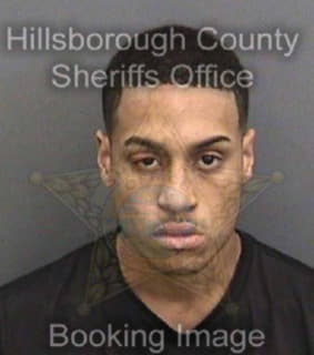 Rivera David - Hillsborough County, Florida 