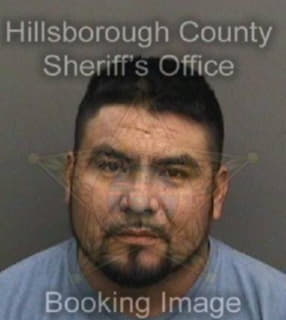 Luis Emanuel - Hillsborough County, Florida 