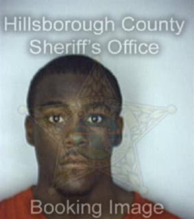 Johnson Eugene - Hillsborough County, Florida 