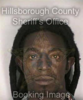 Miller Glenneth - Hillsborough County, Florida 