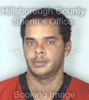 Johnson Michael - Hillsborough County, Florida 