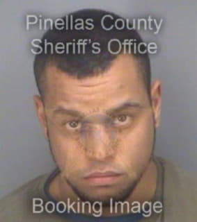 Creel Pauldon - Pinellas County, Florida 