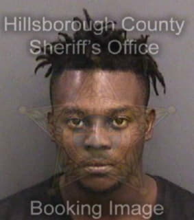 Lewis Reginald - Hillsborough County, Florida 