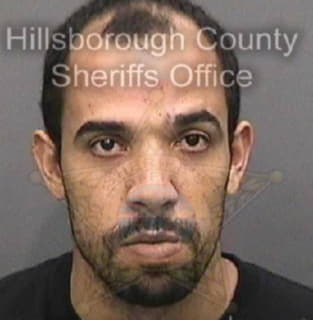 Santiago David - Hillsborough County, Florida 