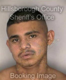 Lopez Joshua - Hillsborough County, Florida 