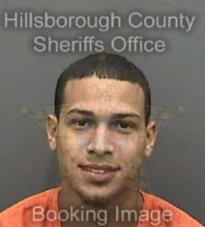 Mauromorales Jose - Hillsborough County, Florida 