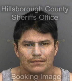 Lopezramirez Mainor - Hillsborough County, Florida 