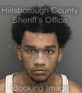 Williams Jayqwan - Hillsborough County, Florida 