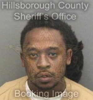 Davis Lewis - Hillsborough County, Florida 