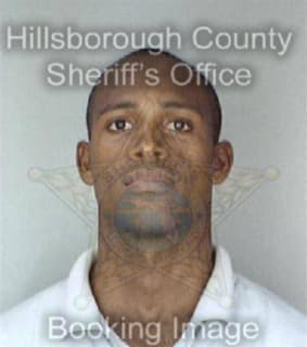 Mcelroy Vincent - Hillsborough County, Florida 