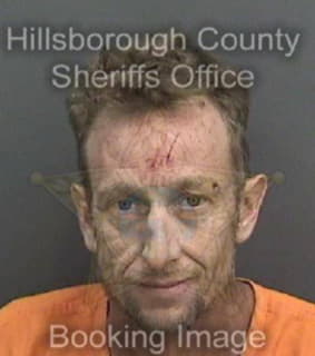 Mccormick Aaron - Hillsborough County, Florida 