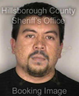 Rodriguez Carlos - Hillsborough County, Florida 