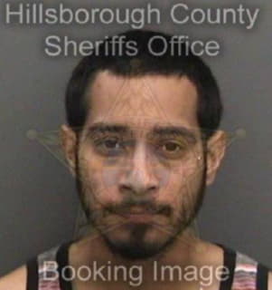 Villanueva Joseph - Hillsborough County, Florida 