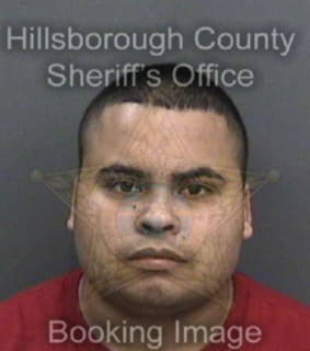 Martinez Michael - Hillsborough County, Florida 