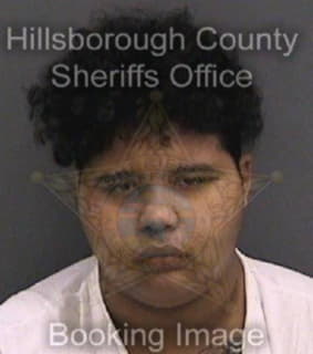 Martinez Sarah - Hillsborough County, Florida 