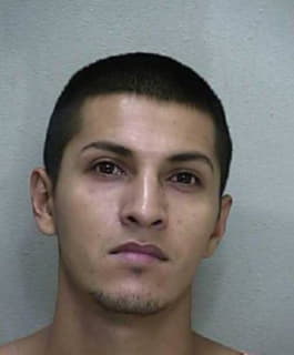Alonso Victor - Marion County, Florida 