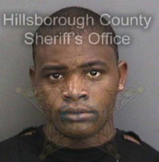 Wallace Andre - Hillsborough County, Florida 