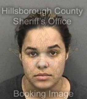 Romanlasalle Ashley - Hillsborough County, Florida 