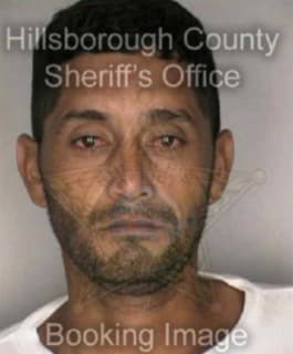 Pasosgarcia Enrique - Hillsborough County, Florida 