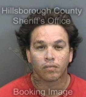 Tull Luis - Hillsborough County, Florida 