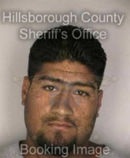 Delacruz Jose - Hillsborough County, Florida 