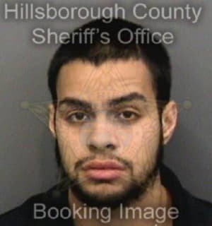 Arman Johnny - Hillsborough County, Florida 