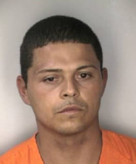 Hernandez Leonardo - Hillsborough County, Florida 