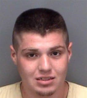 Degennaro Anthony - Pinellas County, Florida 