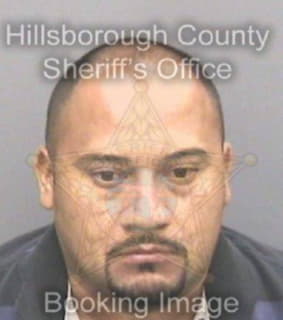 Cardonaguarjardo Carlos - Hillsborough County, Florida 