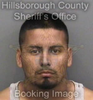 Casanova Juan - Hillsborough County, Florida 