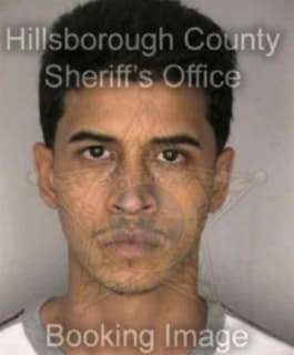 Perez Raymond - Hillsborough County, Florida 