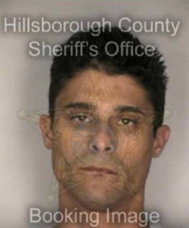 Delgado Ruben - Hillsborough County, Florida 