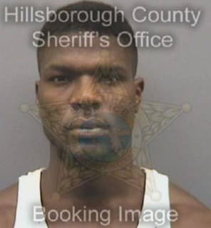 Mcintyre William - Hillsborough County, Florida 