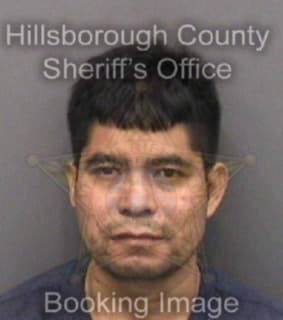 Perezpablo Jeremias - Hillsborough County, Florida 