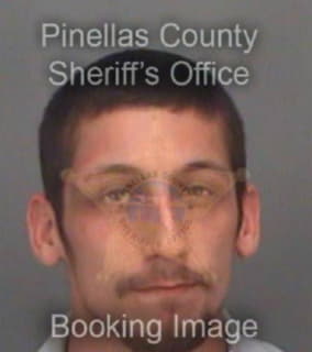 Goodin Paul - Pinellas County, Florida 