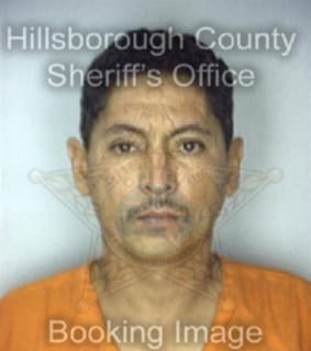 Lopezsuarez Carlos - Hillsborough County, Florida 