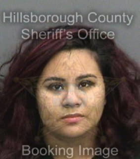 Rodriguez Lina - Hillsborough County, Florida 