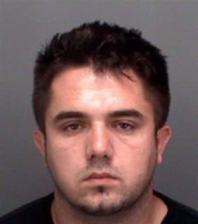 Kokotovic Neven - Pinellas County, Florida 