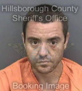 Downing Alexander - Hillsborough County, Florida 